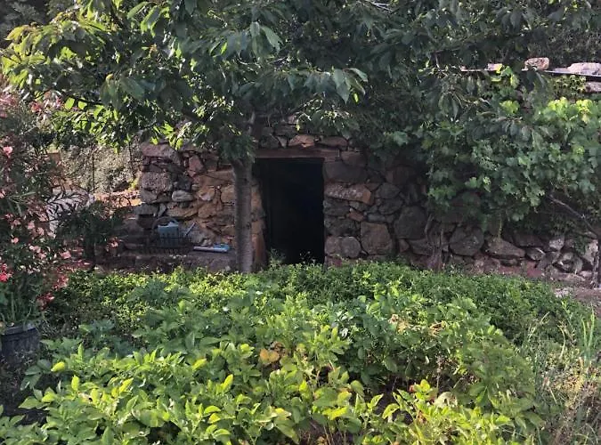 לינה וארוחת בוקר Capraghjese