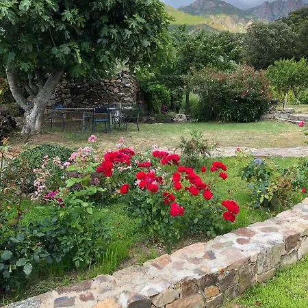 Capraghjese Галерия