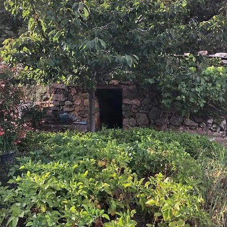 Bed & Breakfast Capraghjese